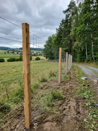Wildzaun in Bielefeld - fachgerechte Ausführung vor Ort